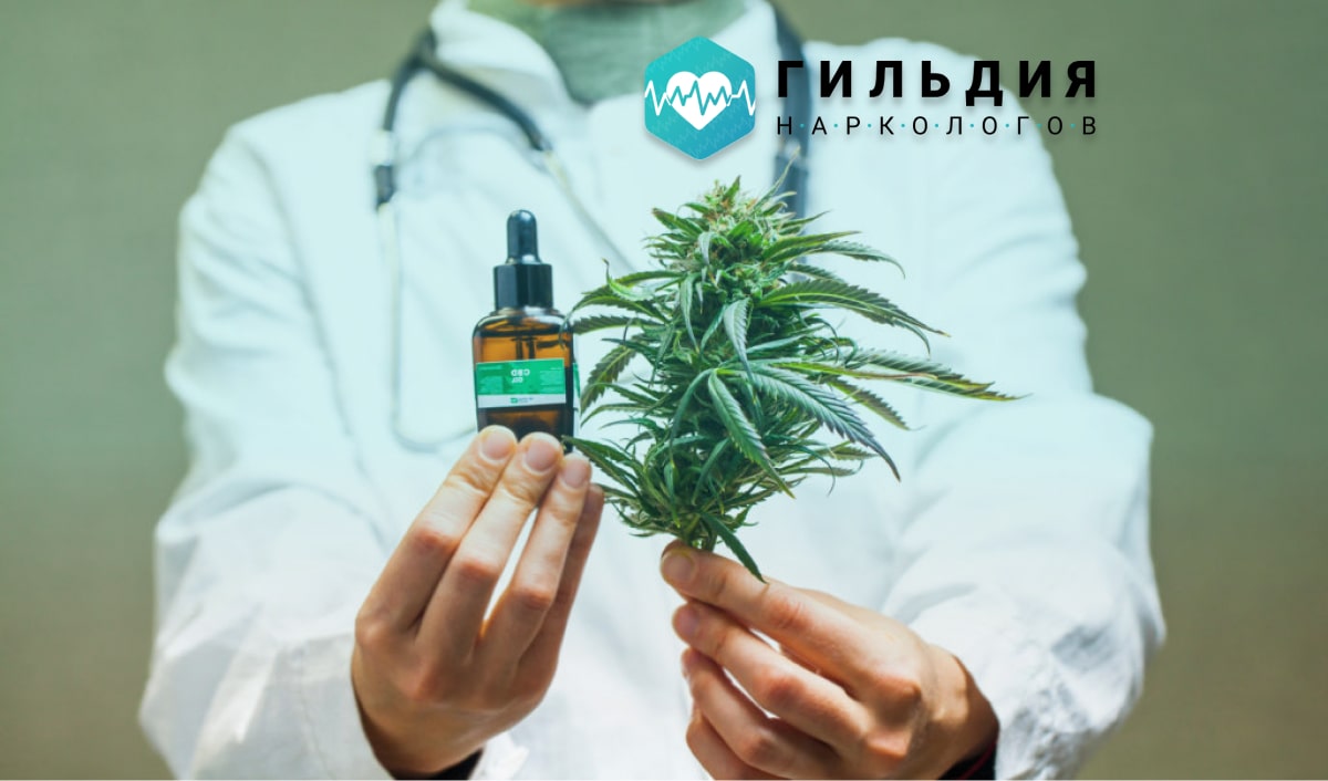 Доктор держит марихуану 