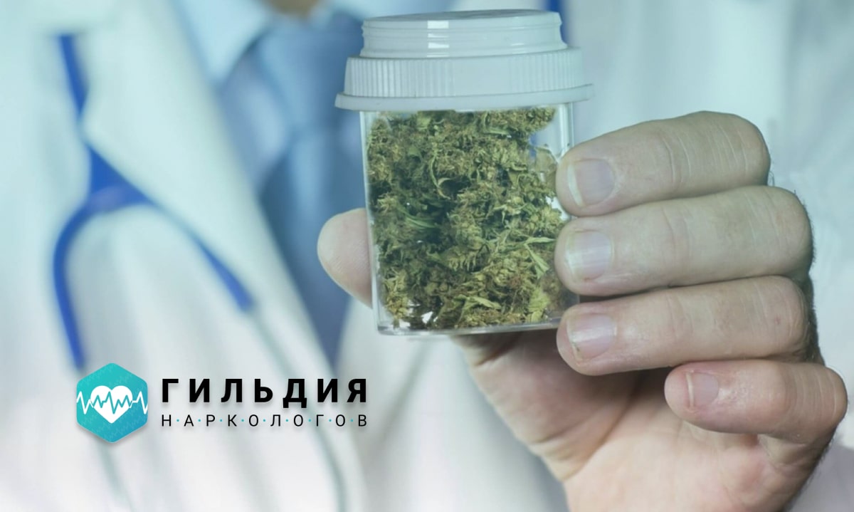 Доктор держит в руках марихуану 